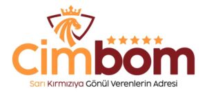 Galatasaray Altyapısında Parlayan Yıldız: Arda Baran Şimşek